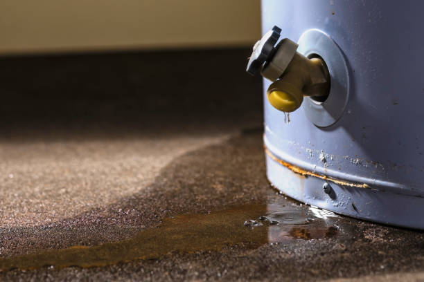 Best Water damage restoration near me  in Mariemont, OH