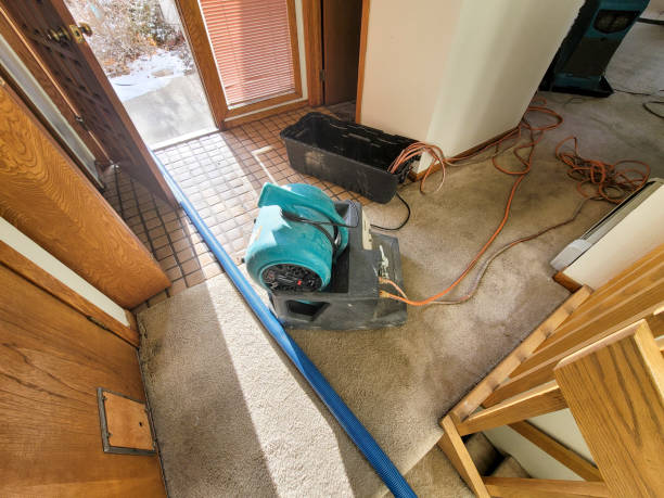 Best Emergency water damage restoration  in Mariemont, OH