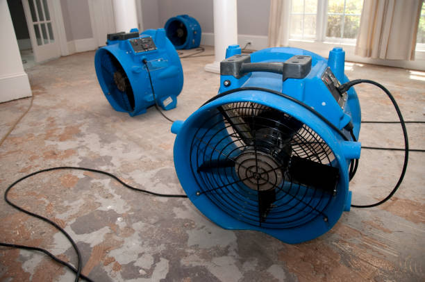 Best Carpet water damage restoration  in Mariemont, OH