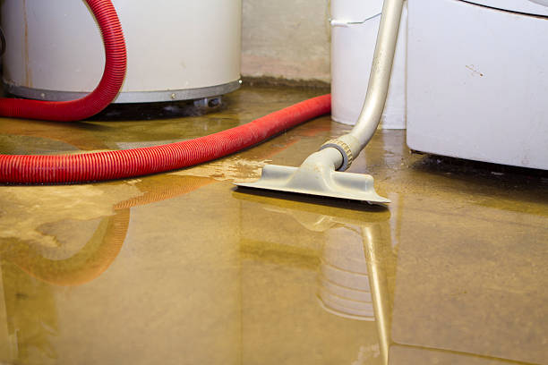 Best Basement water damage restoration  in Mariemont, OH